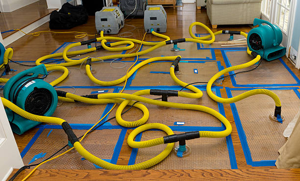 Professional Storm Water Damage Restoration technician working in Runnells, IA